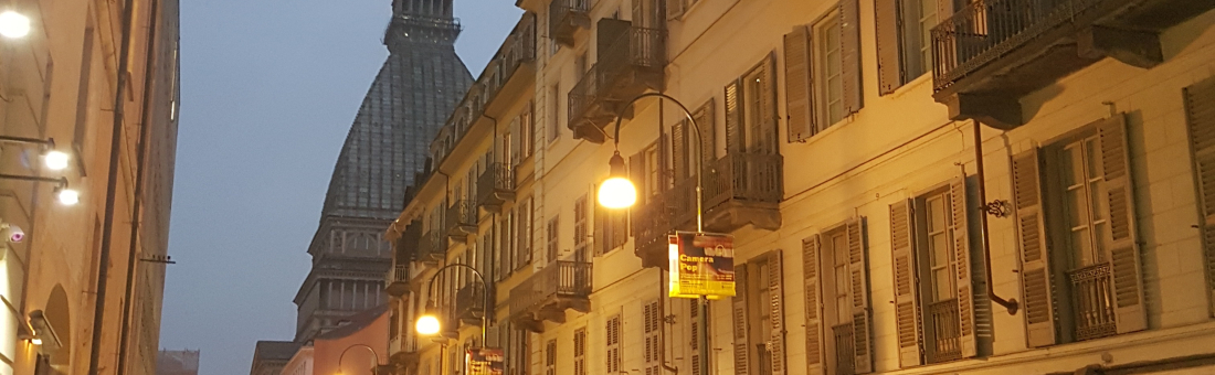 Dissemination meeting in Turin Dissemination meeting in Turin