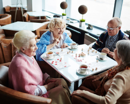 Report of the webinar EuroHealthNet & MINDMAP Webinar: Ageing, health and the city in times of Covid-19