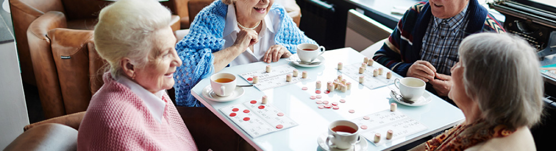 Report of the webinar EuroHealthNet & MINDMAP Webinar: Ageing, health and the city in times of Covid-19